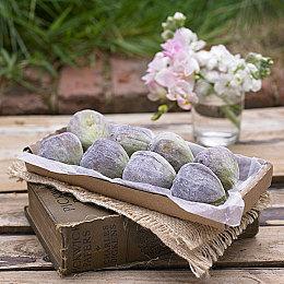 奈飞公布全新《龙腾世纪：赦免》动画剧集